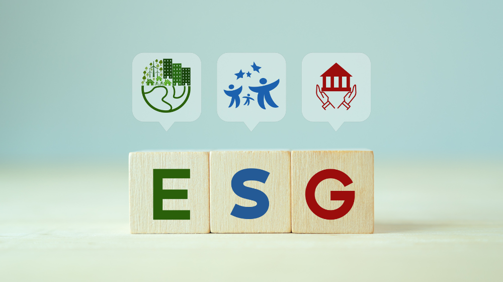 ESG para as organizações